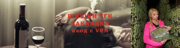 СК Бородино