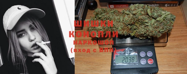 СК Бородино