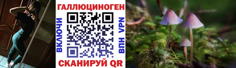 Псилоцибиновые грибы MAGIC MUSHROOMS  цена наркотик  Киров 